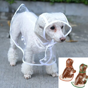    ̕ hbOEFA ybgEFA CR[g   LyHzy~zybg g  CX^f L Lbg ETMI[C ` _bNX gCv[h