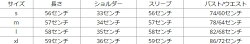 シースルーメッシュトップスシャツ長袖シースルーブラウスカジュアルレディースシンプルハイネック大人可愛いトレンドパーティーフェスオードリー20代30代40代レトロジャパン被らないDIVAセレクト野外パーティーウルトラ