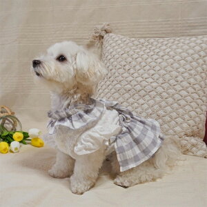    ̕ hbOEFA ybgEFA@  L Rbg[[X MK ts[X  CX^f Z~I[_[@{ Z~I[_[