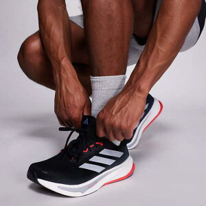 AfB_X jO X[p[m@ CY 2 g[i[iubNAO[Abhj C fB[X  C|[guh TCY傫TCY܂