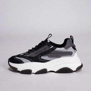 XeB[u}f Steve Madden XeB[uE}f |[bV `L[g[i[iO[j C Y j C|[guh TCY傫TCY܂