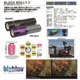 LEDライト　bigblue(ビックブルー) BLACK MOLLY IV AL-1800XWP Tri Color2　1800ルーメン
