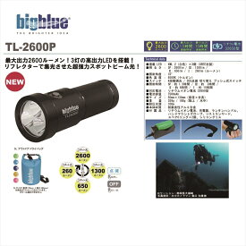 LEDライト　bigblue(ビックブルー) TL-2600P 2600ルーメン