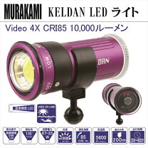 楽天市場】keldanの通販