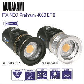 WEEFINE FIX LED ライト FIX NEO Preimum 4030 EF 2