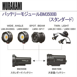 �yRGBlue LED ���C�g�z�o�b�e���[���W���[��BM3521S�@( �X�^���_�[�h)