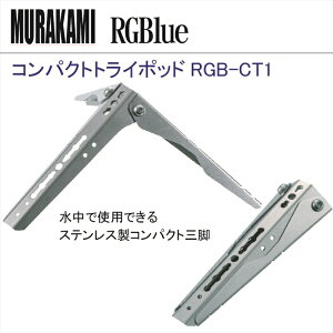 y[֑ΉzRGBlue RpNggC|bhRGB-CT1