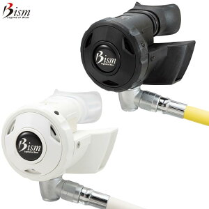 [Bism] r[CY REBRASS(uX)INgpX SK4300