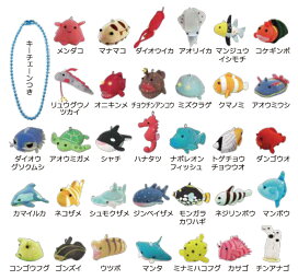 楽天市場】[Bism] ビーイズム ダイビングオクトパス Beans OCTOPUS  