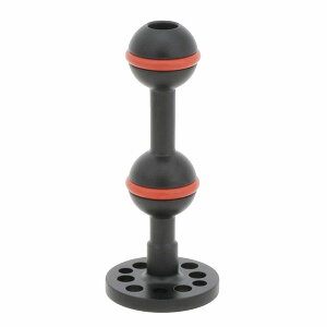 INON/Cm }`_CNgx[XII WB[704361170000] GC`ACfB[