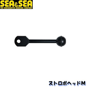 SEASEA/V[AhV[ SA8Xg{wbhMy22126z GC`ACfB[