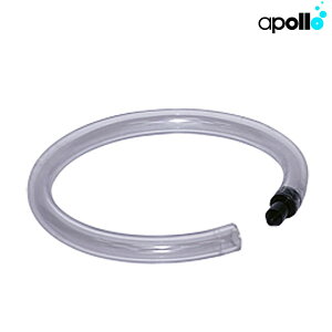 apollo/�A�|�� �����b�N�X�`���[�u[811130120000] �G�C�`�A�C�f�B�[