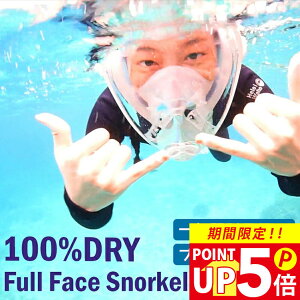 ≪一年間製品保証&送料無料≫ プレゼント付き シュノーケリング マスク シュノーケル 2点 セット の機能をオールインした フルフェイスマスク HeleiWaho ヘレイワホ ALOHA フルフェイス ドライ