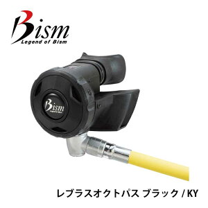 _CrO INgpX Bism / r[CY uX INgpX ySK4300z d XL[o XL[o_CrO XN[o XN[o_CrO ASy 炭 HID