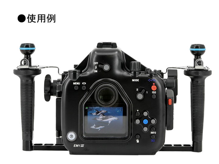 楽天市場】Fisheye (フィッシュアイ) ノーティカム NA EM1III 水中カメラハウジング for Olympus OM-D E-M1  Mark III [10483] ダイビング用ハウジング : 街のダイビング屋さん 楽天市場店