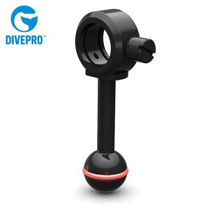 DIVEPROi_Cuvj[Z01C] {[WCguPbg a51mm Ki LEDCg J Be CAMERA LIGHT XL[o_CrO Xm[PO XL_CrO