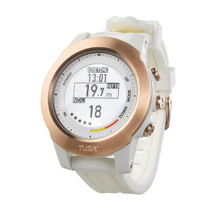 TUSA cT TC1 NXg_CuRs[^[ IQ1301N W zCg [d