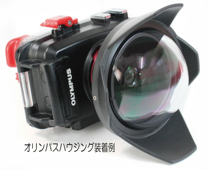楽天市場】Fisheye（フィッシュアイ） FIX フィッシュアイコン 