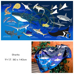 Oceanarium(I[ViE)@hC^I [ 80 x 140cm ]  z }^I