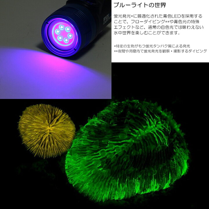 楽天市場】Fisheye(フィッシュアイ) FIX NEO 1200 DX BLUEフィックス 
