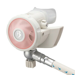 Bism(r[CY)@RB4300CW zCgr[Y2 o[WJ WHITE Beans ver.J M[^[ XCOwbh U d Ch C Wp Made in Japan f