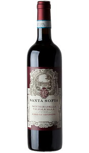 yeOfb @|`Fb NbVR XyI[ D.O.C. 750ml FlgB T^\tBAЁzt{fB ԃC v[g Mtg  Ε C^A LO j 