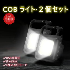 COB Cg LED  d ~j Ɠ 2Zbg RakutenLO1 ~jCg [d 4_[h Px 500[ |PbgTCY ^ y RpNg IPX4h ͎Εt 