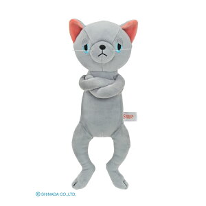 jAWF ʂ n` O[ N fB[X q ̎q w q 킢 LN^[ ObY lC