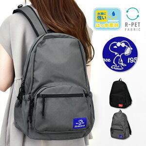 Xk[s[ s[ibc bN fCpbN a4 e 20L  Vv TCh|Pbg wʃ|Pbg fB[X q ʋ ʊw s mobO l w w q 킢  L