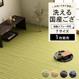 ラグ 洗える ござ い草風ラグ 日本製 国産 除菌スプレー対応 丈夫 緑/ベージュ/茶/ネイビー 和風 和モダン【バルカン 全4色 江戸間1〜10畳】※代引き不可・メーカー直送品