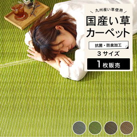 い草カーペット い草ラグ い草マット 国産 日本製 い草 畳マット 消臭 抗菌 ヒバエッセンス【い草カーペット Fソリッド 全4色（緑/グレー/茶/濃茶） 3サイズ】※代引き不可・メーカー直送品
