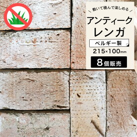 レンガ ブリック ハンドメイドレンガ　約215×100×65mm　白 ホワイト ベルギー製 レンガブロック 敷石 アプローチ 花壇 暖炉 造園 ガーデニング エクステリア DIY【アンテブリック 118 ケンブリッジホワイト 8個セット販売】※代引き不可・メーカー直送品