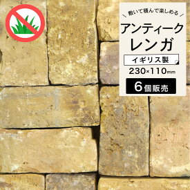 アンティークレンガ レンガ ブロック 約230×110mm イギリス製 DIY エクステリア 庭 ガーデニング 花壇 暖炉 屋外床 外壁 黄色 ヴィンテージ風【アンテブリック 銀座イエロ 6個セット販売】※代引き不可・メーカー直送品