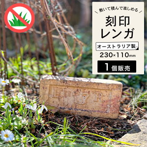AeB[NK 󃌃K × LOK GUxX2 E2R ՊLO  CMX p 230×110×72mm  CG[ S[h K[fjO ~ Ԓd  Mtg 蕨yAeu