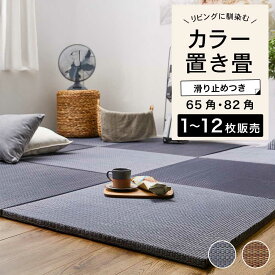 置き畳 軽量 おしゃれ カラー畳 フロア畳 ユニット畳 システム畳 畳 縁なし ヘリなし い草 DIY カット可能 琉球畳風 防音 遮音 抗カビ 防カビ 防臭 滑り止め【南風 65 角/82角 ネイビー/ブラウン 1・6・9・12枚セット販売】※代引き不可・メーカー直送品