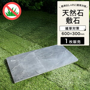 y X[gXg[ l N^ 6030 1̔z ` ѐ XebvXg[ ubN S _ u h G΍ ʂ GNXeA  