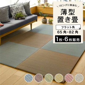置き畳 薄型 フラット角 82×82cm フロア畳 ユニット畳 カラー畳 DIY 和室 縁なし畳 ふちなし畳【置き畳 四季 全6色 65角/82角 1枚/6枚セット販売】※代引き不可・メーカー直送品