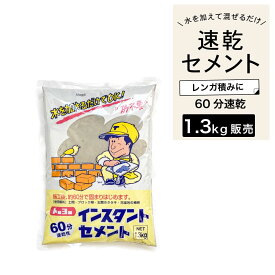 セメント 速乾 トーヨー 花壇 レンガ積み ブロック塀補修 コンクリート補修 水を加えるだけ 簡単施工【60分速乾性インスタントセメント グレー 1.3kg】