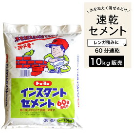 セメント コンクリート補修剤 修理 施工 速乾 水で混ぜるだけ トーヨー レンガ花壇 ブロック塀 土間 ヒビ割れ 池水漏れ修理 DIY【60分速乾性インスタントセメント 10kg グレー】