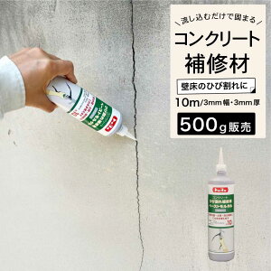 RN[gC ЂъC  O yԏ̕Cɂ̂܂܎gyRN[gpЂъC500gO[1{z