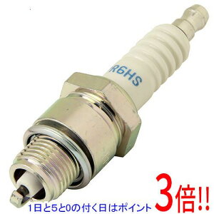 �y1����5.0�̂����A18���̓|�C���g3�{�I�zSK11 �X�p�[�N�v���O No.13 BPR-6HS