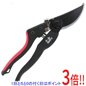 y15.0̂A18̓|Cg3{Izg OXt@Co[ ChObv SGFP-5