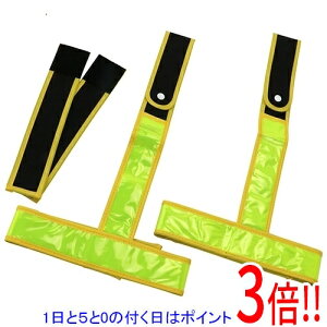 y15.0̂A18̓|Cg3{IzSK11 ˋrJiڕpj TL-RHG-NYFY