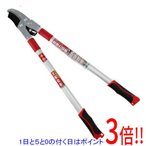 y15.0̂A18̓|Cg3{Izg `Fbg} SGFL-3