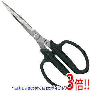 y15.0̂A18̓|Cg3{Izg K[fjO Lbvtn SSP-21