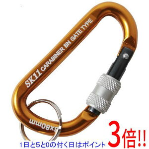 �y1����5.0�̂����A18���̓|�C���g3�{�I�zSK11 ���b�N�J���r�i BN SAC-880BN�S�[���g