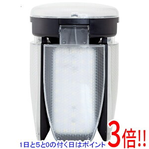 �y1����5.0�̂����A18���̓|�C���g3�{�I�zSK11 ���[�t���C�g�֋� 80W LDA-80DG-SKN