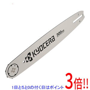 �y1����5.0�̂����A18���̓|�C���g3�{�I�z[�󔭒�]���Z��(�����[�r) �K�C�h�o�[ ESK2730KC CH62068