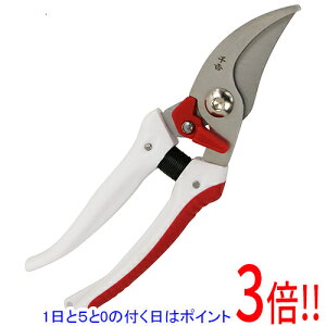 y15.0̂A18̓|Cg3{Izg K[f SGP-56