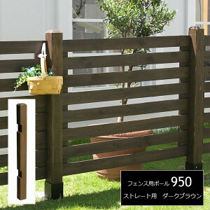 tFXx ؐ Pi EbhtFXp|[950i[^Cvj Xg[g _[NuE SFP-950DBR kC+3000~ ysz